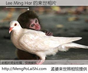 #孟婆来世照相馆# 【Lee Ming Har 来世的未来相片】一碗梦婆汤，忘却了今生爱与痛，了无牵挂进入轮回。再相遇，已是天涯陌路人。可否借我一双慧眼，看清今生与来世？孟婆来世照相馆，触摸你的未来。Lee Ming Har 来世的未来相片，有图有真相：