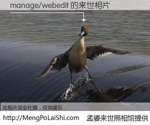 #孟婆来世照相馆# 【manage/webedit 来世的未来相片】一碗梦婆汤，忘却了今生爱与痛，了无牵挂进入轮回。再相遇，已是天涯陌路人。可否借我一双慧眼，看清今生与来世？孟婆来世照相馆，触摸你的未来。manage/webedit 来世的未来相片，有图有真相：