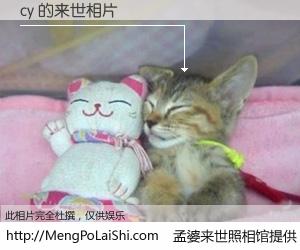 #孟婆来世照相馆# 【cy 来世的未来相片】一碗梦婆汤，忘却了今生爱与痛，了无牵挂进入轮回。再相遇，已是天涯陌路人。可否借我一双慧眼，看清今生与来世？孟婆来世照相馆，触摸你的未来。cy 来世的未来相片，有图有真相：