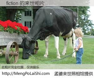 #孟婆来世照相馆# 【fiction 来世的未来相片】一碗梦婆汤，忘却了今生爱与痛，了无牵挂进入轮回。再相遇，已是天涯陌路人。可否借我一双慧眼，看清今生与来世？孟婆来世照相馆，触摸你的未来。fiction 来世的未来相片，有图有真相：