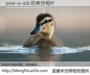 #孟婆来世照相馆# 【post-a-job 来世的未来相片】一碗梦婆汤，忘却了今生爱与痛，了无牵挂进入轮回。再相遇，已是天涯陌路人。可否借我一双慧眼，看清今生与来世？孟婆来世照相馆，触摸你的未来。post-a-job 来世的未来相片，有图有真相：