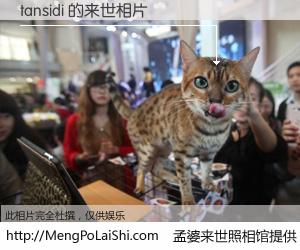 #孟婆来世照相馆# 【tansidi 来世的未来相片】一碗梦婆汤，忘却了今生爱与痛，了无牵挂进入轮回。再相遇，已是天涯陌路人。可否借我一双慧眼，看清今生与来世？孟婆来世照相馆，触摸你的未来。tansidi 来世的未来相片，有图有真相：