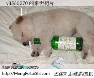 #孟婆来世照相馆# 【y8585270 来世的未来相片】一碗梦婆汤，忘却了今生爱与痛，了无牵挂进入轮回。再相遇，已是天涯陌路人。可否借我一双慧眼，看清今生与来世？孟婆来世照相馆，触摸你的未来。y8585270 来世的未来相片，有图有真相：