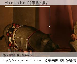 #孟婆来世照相馆# 【yip man him 来世的未来相片】一碗梦婆汤，忘却了今生爱与痛，了无牵挂进入轮回。再相遇，已是天涯陌路人。可否借我一双慧眼，看清今生与来世？孟婆来世照相馆，触摸你的未来。yip man him 来世的未来相片，有图有真相：