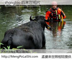 #孟婆来世照相馆# 【zhangtao 来世的未来相片】一碗梦婆汤，忘却了今生爱与痛，了无牵挂进入轮回。再相遇，已是天涯陌路人。可否借我一双慧眼，看清今生与来世？孟婆来世照相馆，触摸你的未来。zhangtao 来世的未来相片，有图有真相：
