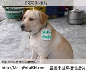 #孟婆来世照相馆# 【�Ǽ�ܷ 来世的未来相片】一碗梦婆汤，忘却了今生爱与痛，了无牵挂进入轮回。再相遇，已是天涯陌路人。可否借我一双慧眼，看清今生与来世？孟婆来世照相馆，触摸你的未来。�Ǽ�ܷ 来世的未来相片，有图有真相：