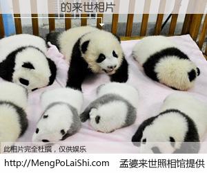 #孟婆来世照相馆# 【���� 来世的未来相片】一碗梦婆汤，忘却了今生爱与痛，了无牵挂进入轮回。再相遇，已是天涯陌路人。可否借我一双慧眼，看清今生与来世？孟婆来世照相馆，触摸你的未来。���� 来世的未来相片，有图有真相：