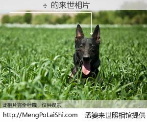 #孟婆来世照相馆# 【¬���� 来世的未来相片】一碗梦婆汤，忘却了今生爱与痛，了无牵挂进入轮回。再相遇，已是天涯陌路人。可否借我一双慧眼，看清今生与来世？孟婆来世照相馆，触摸你的未来。¬���� 来世的未来相片，有图有真相：