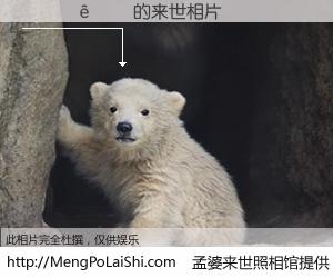 #孟婆来世照相馆# 【������ 来世的未来相片】一碗梦婆汤，忘却了今生爱与痛，了无牵挂进入轮回。再相遇，已是天涯陌路人。可否借我一双慧眼，看清今生与来世？孟婆来世照相馆，触摸你的未来。������ 来世的未来相片，有图有真相：