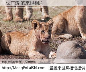 #孟婆来世照相馆# 【乜广涛 来世的未来相片】一碗梦婆汤，忘却了今生爱与痛，了无牵挂进入轮回。再相遇，已是天涯陌路人。可否借我一双慧眼，看清今生与来世？孟婆来世照相馆，触摸你的未来。乜广涛 来世的未来相片，有图有真相：