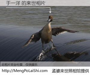 #孟婆来世照相馆# 【于一洋 来世的未来相片】一碗梦婆汤，忘却了今生爱与痛，了无牵挂进入轮回。再相遇，已是天涯陌路人。可否借我一双慧眼，看清今生与来世？孟婆来世照相馆，触摸你的未来。于一洋 来世的未来相片，有图有真相：