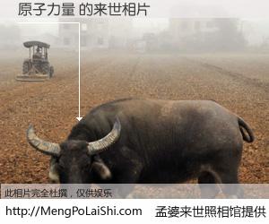 #孟婆来世照相馆# 【原子力量 来世的未来相片】一碗梦婆汤，忘却了今生爱与痛，了无牵挂进入轮回。再相遇，已是天涯陌路人。可否借我一双慧眼，看清今生与来世？孟婆来世照相馆，触摸你的未来。原子力量 来世的未来相片，有图有真相：