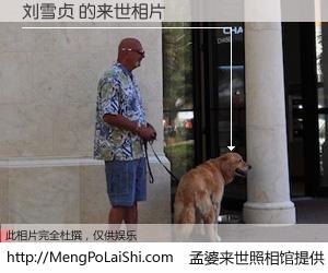 #孟婆来世照相馆# 【刘雪贞 来世的未来相片】一碗梦婆汤，忘却了今生爱与痛，了无牵挂进入轮回。再相遇，已是天涯陌路人。可否借我一双慧眼，看清今生与来世？孟婆来世照相馆，触摸你的未来。刘雪贞 来世的未来相片，有图有真相：