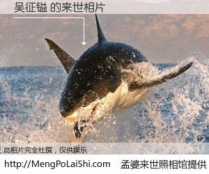 #孟婆来世照相馆# 【吴征镒 来世的未来相片】一碗梦婆汤，忘却了今生爱与痛，了无牵挂进入轮回。再相遇，已是天涯陌路人。可否借我一双慧眼，看清今生与来世？孟婆来世照相馆，触摸你的未来。吴征镒 来世的未来相片，有图有真相：