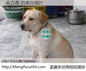 #孟婆来世照相馆# 【吴立勇 来世的未来相片】一碗梦婆汤，忘却了今生爱与痛，了无牵挂进入轮回。再相遇，已是天涯陌路人。可否借我一双慧眼，看清今生与来世？孟婆来世照相馆，触摸你的未来。吴立勇 来世的未来相片，有图有真相：