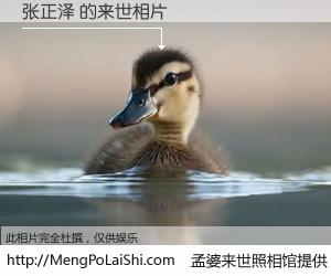 #孟婆来世照相馆# 【张正泽 来世的未来相片】一碗梦婆汤，忘却了今生爱与痛，了无牵挂进入轮回。再相遇，已是天涯陌路人。可否借我一双慧眼，看清今生与来世？孟婆来世照相馆，触摸你的未来。张正泽 来世的未来相片，有图有真相：
