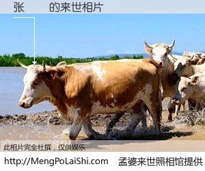 #孟婆来世照相馆# 【张烜烜 来世的未来相片】一碗梦婆汤，忘却了今生爱与痛，了无牵挂进入轮回。再相遇，已是天涯陌路人。可否借我一双慧眼，看清今生与来世？孟婆来世照相馆，触摸你的未来。张烜烜 来世的未来相片，有图有真相：