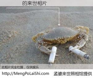 #孟婆来世照相馆# 【張亞禎 来世的未来相片】一碗梦婆汤，忘却了今生爱与痛，了无牵挂进入轮回。再相遇，已是天涯陌路人。可否借我一双慧眼，看清今生与来世？孟婆来世照相馆，触摸你的未来。張亞禎 来世的未来相片，有图有真相：