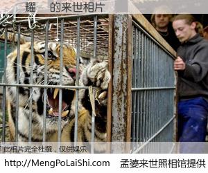 #孟婆来世照相馆# 【張耀揚 来世的未来相片】一碗梦婆汤，忘却了今生爱与痛，了无牵挂进入轮回。再相遇，已是天涯陌路人。可否借我一双慧眼，看清今生与来世？孟婆来世照相馆，触摸你的未来。張耀揚 来世的未来相片，有图有真相：