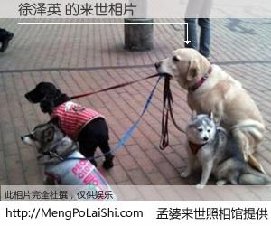 #孟婆来世照相馆# 【徐泽英 来世的未来相片】一碗梦婆汤，忘却了今生爱与痛，了无牵挂进入轮回。再相遇，已是天涯陌路人。可否借我一双慧眼，看清今生与来世？孟婆来世照相馆，触摸你的未来。徐泽英 来世的未来相片，有图有真相：