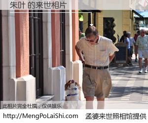 #孟婆来世照相馆# 【朱叶 来世的未来相片】一碗梦婆汤，忘却了今生爱与痛，了无牵挂进入轮回。再相遇，已是天涯陌路人。可否借我一双慧眼，看清今生与来世？孟婆来世照相馆，触摸你的未来。朱叶 来世的未来相片，有图有真相：