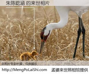 #孟婆来世照相馆# 【朱陈屹涵 来世的未来相片】一碗梦婆汤，忘却了今生爱与痛，了无牵挂进入轮回。再相遇，已是天涯陌路人。可否借我一双慧眼，看清今生与来世？孟婆来世照相馆，触摸你的未来。朱陈屹涵 来世的未来相片，有图有真相：