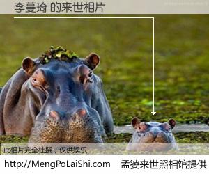 #孟婆来世照相馆# 【李蔓琦 来世的未来相片】一碗梦婆汤，忘却了今生爱与痛，了无牵挂进入轮回。再相遇，已是天涯陌路人。可否借我一双慧眼，看清今生与来世？孟婆来世照相馆，触摸你的未来。李蔓琦 来世的未来相片，有图有真相：