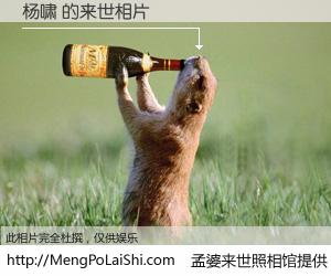 #孟婆来世照相馆# 【杨啸 来世的未来相片】一碗梦婆汤，忘却了今生爱与痛，了无牵挂进入轮回。再相遇，已是天涯陌路人。可否借我一双慧眼，看清今生与来世？孟婆来世照相馆，触摸你的未来。杨啸 来世的未来相片，有图有真相：