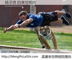 #孟婆来世照相馆# 【杨子贤 来世的未来相片】一碗梦婆汤，忘却了今生爱与痛，了无牵挂进入轮回。再相遇，已是天涯陌路人。可否借我一双慧眼，看清今生与来世？孟婆来世照相馆，触摸你的未来。杨子贤 来世的未来相片，有图有真相：