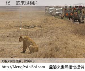 #孟婆来世照相馆# 【杨堽 来世的未来相片】一碗梦婆汤，忘却了今生爱与痛，了无牵挂进入轮回。再相遇，已是天涯陌路人。可否借我一双慧眼，看清今生与来世？孟婆来世照相馆，触摸你的未来。杨堽 来世的未来相片，有图有真相：