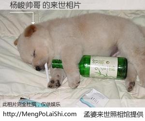 #孟婆来世照相馆# 【杨峻帅哥 来世的未来相片】一碗梦婆汤，忘却了今生爱与痛，了无牵挂进入轮回。再相遇，已是天涯陌路人。可否借我一双慧眼，看清今生与来世？孟婆来世照相馆，触摸你的未来。杨峻帅哥 来世的未来相片，有图有真相：