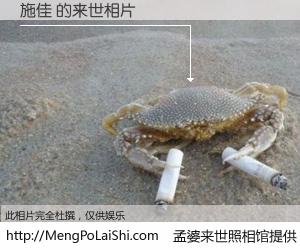 #孟婆来世照相馆# 【施佳 来世的未来相片】一碗梦婆汤，忘却了今生爱与痛，了无牵挂进入轮回。再相遇，已是天涯陌路人。可否借我一双慧眼，看清今生与来世？孟婆来世照相馆，触摸你的未来。施佳 来世的未来相片，有图有真相：