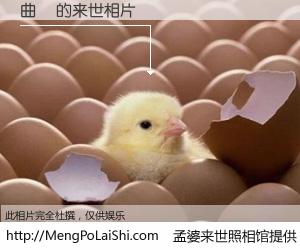 #孟婆来世照相馆# 【曲祎 来世的未来相片】一碗梦婆汤，忘却了今生爱与痛，了无牵挂进入轮回。再相遇，已是天涯陌路人。可否借我一双慧眼，看清今生与来世？孟婆来世照相馆，触摸你的未来。曲祎 来世的未来相片，有图有真相：