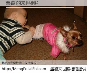 #孟婆来世照相馆# 【曹睿 来世的未来相片】一碗梦婆汤，忘却了今生爱与痛，了无牵挂进入轮回。再相遇，已是天涯陌路人。可否借我一双慧眼，看清今生与来世？孟婆来世照相馆，触摸你的未来。曹睿 来世的未来相片，有图有真相：