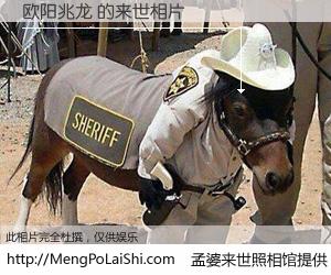 #孟婆来世照相馆# 【欧阳兆龙 来世的未来相片】一碗梦婆汤，忘却了今生爱与痛，了无牵挂进入轮回。再相遇，已是天涯陌路人。可否借我一双慧眼，看清今生与来世？孟婆来世照相馆，触摸你的未来。欧阳兆龙 来世的未来相片，有图有真相：