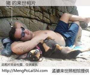 #孟婆来世照相馆# 【猪 来世的未来相片】一碗梦婆汤，忘却了今生爱与痛，了无牵挂进入轮回。再相遇，已是天涯陌路人。可否借我一双慧眼，看清今生与来世？孟婆来世照相馆，触摸你的未来。猪 来世的未来相片，有图有真相：