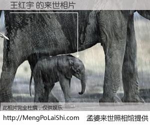 #孟婆来世照相馆# 【王红宇 来世的未来相片】一碗梦婆汤，忘却了今生爱与痛，了无牵挂进入轮回。再相遇，已是天涯陌路人。可否借我一双慧眼，看清今生与来世？孟婆来世照相馆，触摸你的未来。王红宇 来世的未来相片，有图有真相：