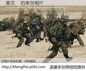 #孟婆来世照相馆# 【章文璟 来世的未来相片】一碗梦婆汤，忘却了今生爱与痛，了无牵挂进入轮回。再相遇，已是天涯陌路人。可否借我一双慧眼，看清今生与来世？孟婆来世照相馆，触摸你的未来。章文璟 来世的未来相片，有图有真相：