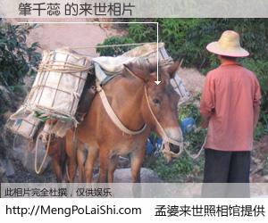 #孟婆来世照相馆# 【肇千蕊 来世的未来相片】一碗梦婆汤，忘却了今生爱与痛，了无牵挂进入轮回。再相遇，已是天涯陌路人。可否借我一双慧眼，看清今生与来世？孟婆来世照相馆，触摸你的未来。肇千蕊 来世的未来相片，有图有真相：