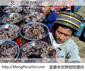 #孟婆来世照相馆# 【譚文蘋 来世的未来相片】一碗梦婆汤，忘却了今生爱与痛，了无牵挂进入轮回。再相遇，已是天涯陌路人。可否借我一双慧眼，看清今生与来世？孟婆来世照相馆，触摸你的未来。譚文蘋 来世的未来相片，有图有真相：