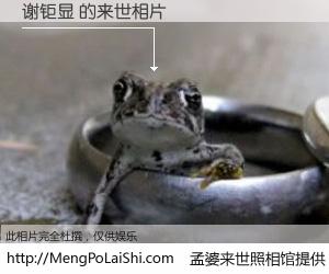 #孟婆来世照相馆# 【谢钜显 来世的未来相片】一碗梦婆汤，忘却了今生爱与痛，了无牵挂进入轮回。再相遇，已是天涯陌路人。可否借我一双慧眼，看清今生与来世？孟婆来世照相馆，触摸你的未来。谢钜显 来世的未来相片，有图有真相：