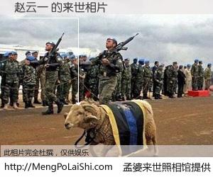 #孟婆来世照相馆# 【赵云一 来世的未来相片】一碗梦婆汤，忘却了今生爱与痛，了无牵挂进入轮回。再相遇，已是天涯陌路人。可否借我一双慧眼，看清今生与来世？孟婆来世照相馆，触摸你的未来。赵云一 来世的未来相片，有图有真相：