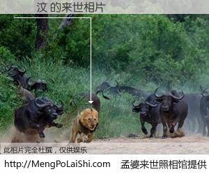 #孟婆来世照相馆# 【鍾淯汶 来世的未来相片】一碗梦婆汤，忘却了今生爱与痛，了无牵挂进入轮回。再相遇，已是天涯陌路人。可否借我一双慧眼，看清今生与来世？孟婆来世照相馆，触摸你的未来。鍾淯汶 来世的未来相片，有图有真相：