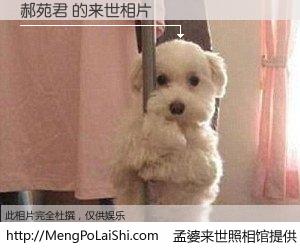 #孟婆来世照相馆# 【郝苑君 来世的未来相片】一碗梦婆汤，忘却了今生爱与痛，了无牵挂进入轮回。再相遇，已是天涯陌路人。可否借我一双慧眼，看清今生与来世？孟婆来世照相馆，触摸你的未来。郝苑君 来世的未来相片，有图有真相：