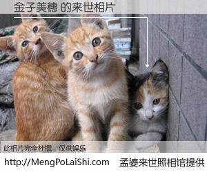 #孟婆来世照相馆# 【金子美穗 来世的未来相片】一碗梦婆汤，忘却了今生爱与痛，了无牵挂进入轮回。再相遇，已是天涯陌路人。可否借我一双慧眼，看清今生与来世？孟婆来世照相馆，触摸你的未来。金子美穗 来世的未来相片，有图有真相：