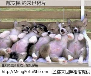 #孟婆来世照相馆# 【陈安民 来世的未来相片】一碗梦婆汤，忘却了今生爱与痛，了无牵挂进入轮回。再相遇，已是天涯陌路人。可否借我一双慧眼，看清今生与来世？孟婆来世照相馆，触摸你的未来。陈安民 来世的未来相片，有图有真相：