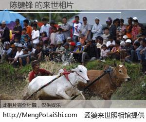 #孟婆来世照相馆# 【陈键锋 来世的未来相片】一碗梦婆汤，忘却了今生爱与痛，了无牵挂进入轮回。再相遇，已是天涯陌路人。可否借我一双慧眼，看清今生与来世？孟婆来世照相馆，触摸你的未来。陈键锋 来世的未来相片，有图有真相：