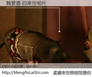 #孟婆来世照相馆# 【魏爱香 来世的未来相片】一碗梦婆汤，忘却了今生爱与痛，了无牵挂进入轮回。再相遇，已是天涯陌路人。可否借我一双慧眼，看清今生与来世？孟婆来世照相馆，触摸你的未来。魏爱香 来世的未来相片，有图有真相：