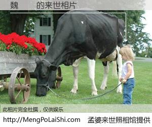 #孟婆来世照相馆# 【魏開貴 来世的未来相片】一碗梦婆汤，忘却了今生爱与痛，了无牵挂进入轮回。再相遇，已是天涯陌路人。可否借我一双慧眼，看清今生与来世？孟婆来世照相馆，触摸你的未来。魏開貴 来世的未来相片，有图有真相：