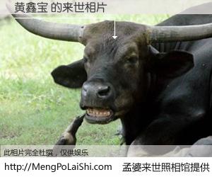 #孟婆来世照相馆# 【黄鑫宝 来世的未来相片】一碗梦婆汤，忘却了今生爱与痛，了无牵挂进入轮回。再相遇，已是天涯陌路人。可否借我一双慧眼，看清今生与来世？孟婆来世照相馆，触摸你的未来。黄鑫宝 来世的未来相片，有图有真相：